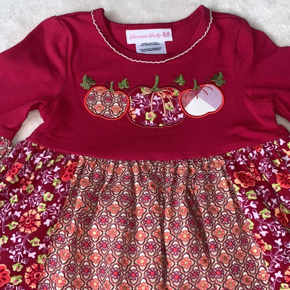 NWT Bonnie Baby Pink Pumpkin Appliqué Dress 12M Three Quarter Sleeve - Picture 8 of 13